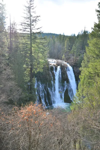 DSC_5917 (Large).JPG